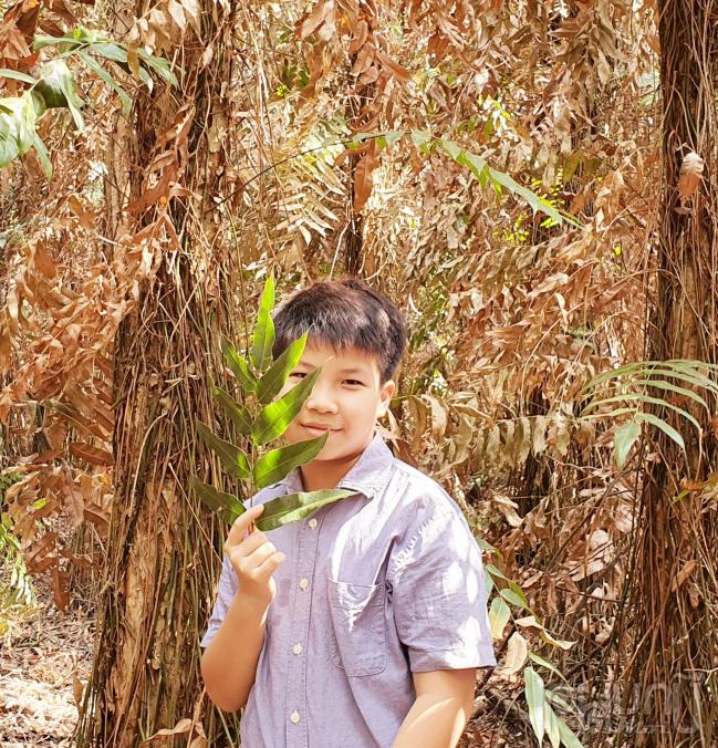 Nhà văn Cao Khải An 