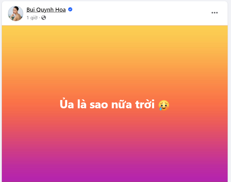 Bùi Quỳnh Hoa tỏ ra khó hiểu và phải đăng đàn ngay khi bỗng dưng vướng thị phi dù đang cố gắng sống kín tiếng sau khi thi Miss Universe 2023