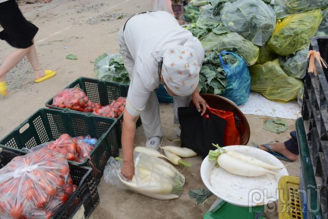 Hàng chục tấn nông sản Hải Dương được người dân thủ đô 'giải cứu' mỗi ngày