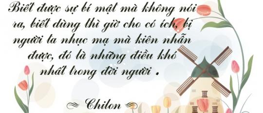 Tử vi hàng ngày 4.1.2020 của 12 con giáp: Dậu say mê với cuộc sống, Mùi tài chính hỗn loạn 