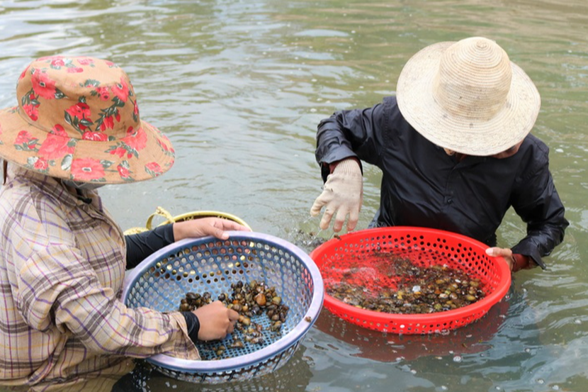 Hồ Trị An cạn nước, người dân kiếm tiền triệu mỗi ngày  - Ảnh 4.