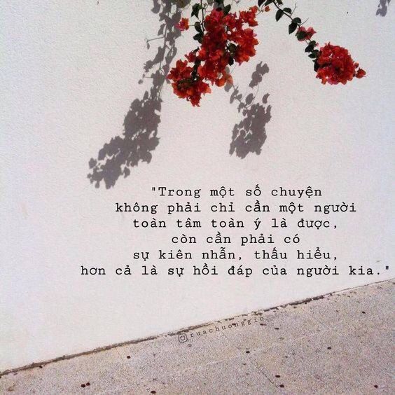 Tử vi hàng ngày 18/1/2020 của 12 cung hoàng đạo: Thiên Bình gặp trở ngại bất ngờ, Bạch Dương bị lợi dụng