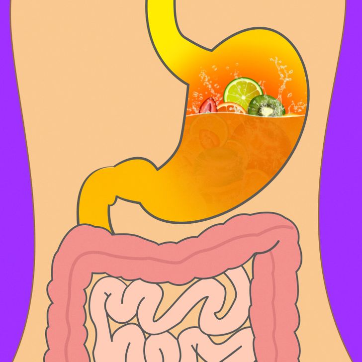 Các loại thực phẩm mất bao lâu để tiêu hóa? - Ảnh 4.