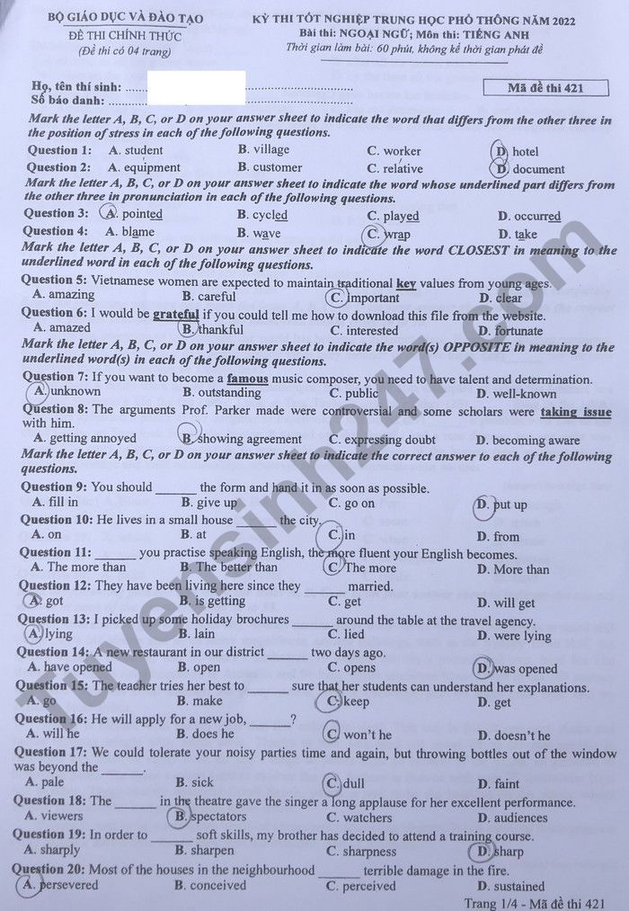 Đề thi và gợi ý đáp án môn Tiếng Anh tốt nghiệp THPT 2022 - Ảnh 1.