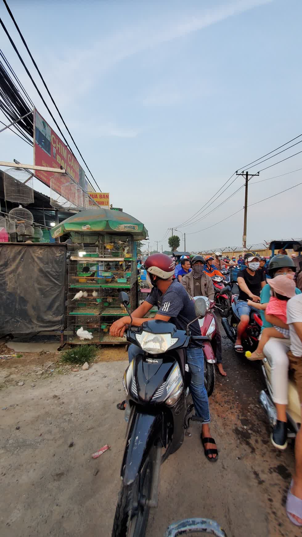 Các loại chim, thỏ bày bán tràn ra ngoài đường tại đường Phạm Văn Bạch, quận Tân Bình - Ảnh: Cẩm Viên. 