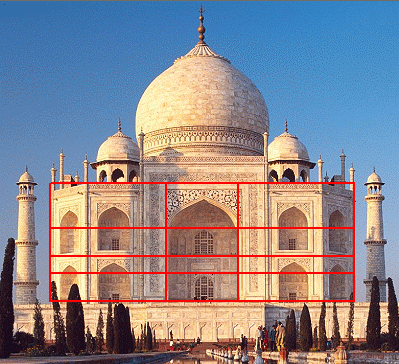 Bạn biết gì về dãy Fibonacci và 'tỉ lệ vàng' trong vạn vật?