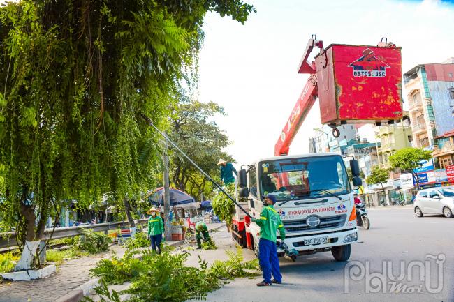 Do nhiệt độ ngoài trời tăng lên cao nên công nhân lao động phải đi làm từ 6 giờ sáng và nghỉ sớm vì thời tiết quá nóng.