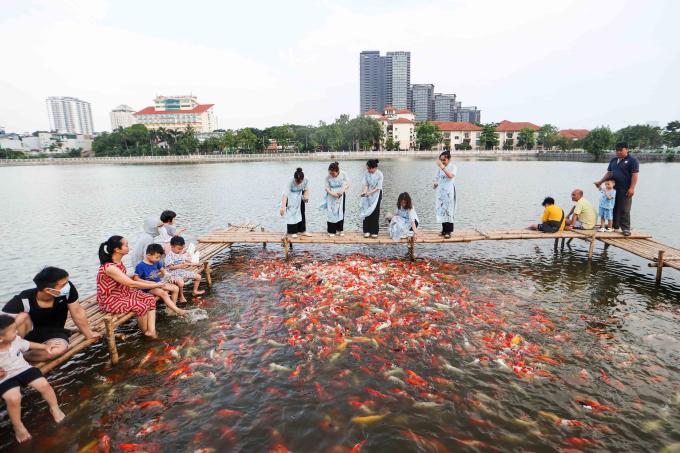 Cận cảnh hồ cá koi ở cạnh hồ Tây. Ảnh: TPO