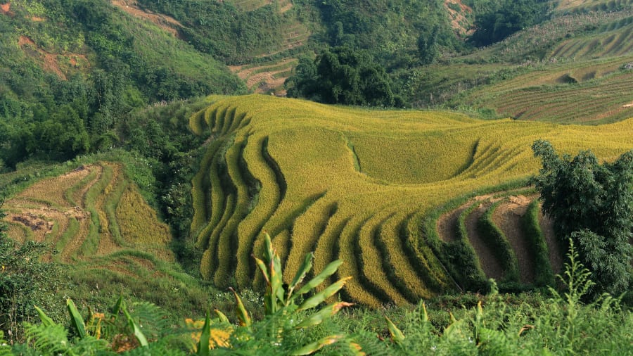 Khu vực miền núi của tỉnh Lào Cai thu hút du khách bởi không khí trong lành, những thác nước huyền diệu, các thửa ruộng bậc thang và văn hóa dân tộc đặc sắc. Khu vực này là nơi cao nhất Việt Nam, trong đó có đỉnh núi Fansipan cao 3143m.