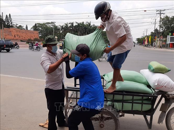 Người dân tự nguyện đến hỗ trợ, cung cấp gạo. Ảnh: TTXVN 