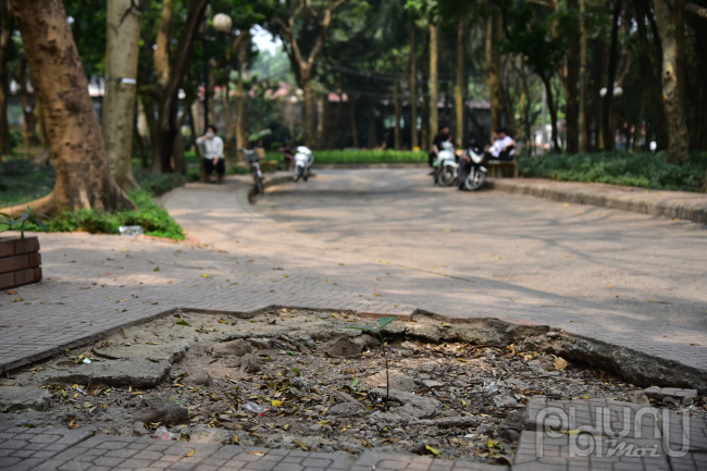 Bên trong công viên 208 tỷ đang bị bỏ hoang