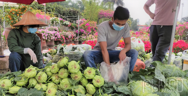  Rau củ còn rất tươi ngon