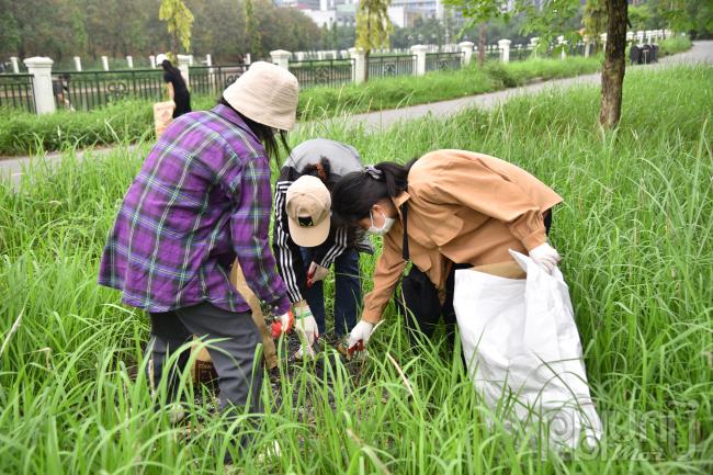 Bạn Nguyễn Nhật Linh chia sẻ: Mình cảm thấy rất vui khi được đồng hành cùng mọi người góp 1 chút sức nhỏ làm môi trường sạch hơn. Mình thấy hoạt động nhặt rác này là 1 hoạt động rất ý nghĩa, các bạn Xanh Hà Nội rất nhiệt huyết, thân thiện, các bạn luôn quan tâm, giúp đỡ TNV hết mình. Mình rất biết ơn Xanh Việt Nam nói chung cũng như Xanh Hà Nội nói riêng đã tổ chức những hoạt động nhặt rác ý nghĩa như vậy.