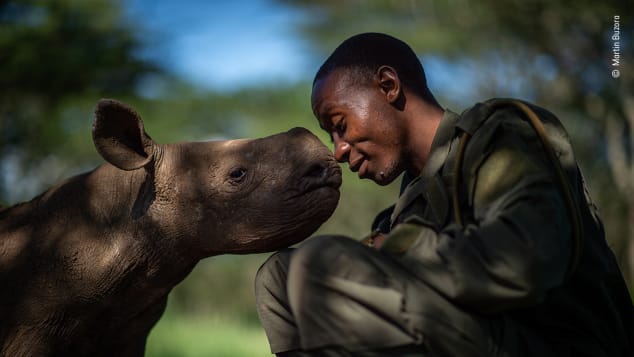 Bức ảnh về một kiểm lâm viên và một con tê giác trẻ ở Kenya cũng lọt vào danh sách này.