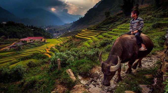   Bản Cát Cát (Sapa, Lào Cai) được SCMP liệt kê tên trong danh sách 7 ngôi làng đẹp nhất thế giới mà du khách nên ghé thăm sau dịch. Đến với bản Cát Cát, bạn sẽ thu vào tầm mắt khung cảnh thiên nhiên hoang sơ, những ngôi nhà sàn nhỏ xinh, thửa ruộng bậc thang quyến rũ.  