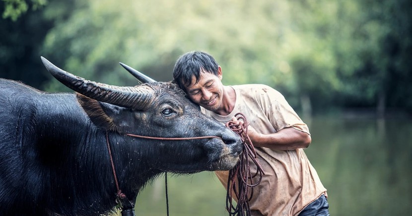 Tuổi Đinh Sửu 1997 xuất hành Tết 2023 vào giờ nào, hướng nào tốt nhất? - Ảnh 1.