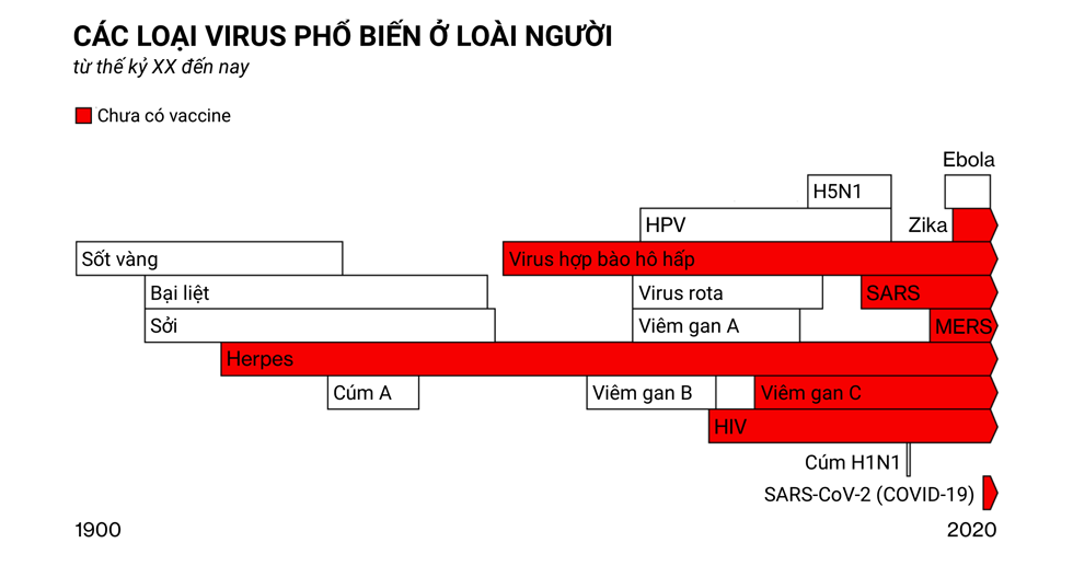 Hành trình sản xuất được vaccine ngừa một số loại virus phổ biến ở loài người từ thế kỷ XX đến nay. Đồ hoạ: Bloomberg.