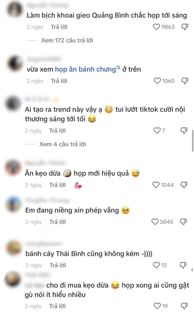 Ảnh chụp màn hình TikTok