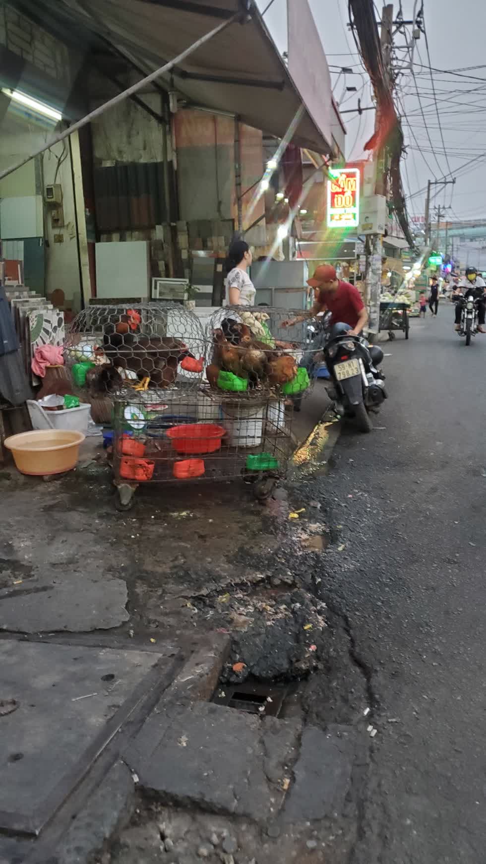 Còn những điểm giết mổ gà vịt thải ra đường như thế này hầu như chợ nào trên địa bàn TP.HCM cũng có - Ảnh: Cẩm Viên. 