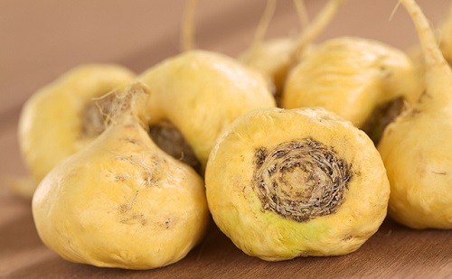 Củ cải maca Peru. Ảnh minh họa