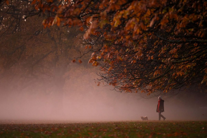 Công viên Greenwich, London, Anh, nơi có nhiều hươu sinh sống. Ảnh: AFP.