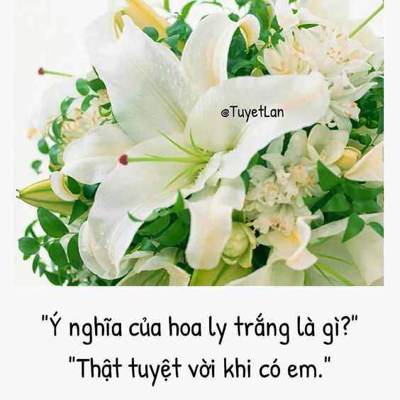 Tử vi thứ 6 ngày 27/3/2020 của 12 con giáp: Dần công việc bận rộn, Sửu tình yêu vượng sắc