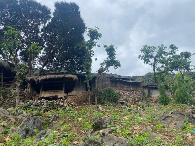 Căn nhà của gia đình Vàng A Thang ở Lũng Hồ (Yên Minh, Hà Giang). Thu nhập của gia đình không quá 12 triệu/ năm.