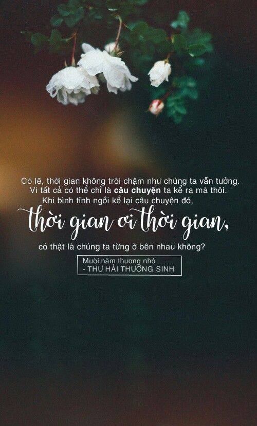 Tử vi hàng ngày 11.1.2020 của 12 cung hoàng đạo: Sư Tử cẩn thận sức khỏe, Xử Nữ có cảm giác tẻ nhạt