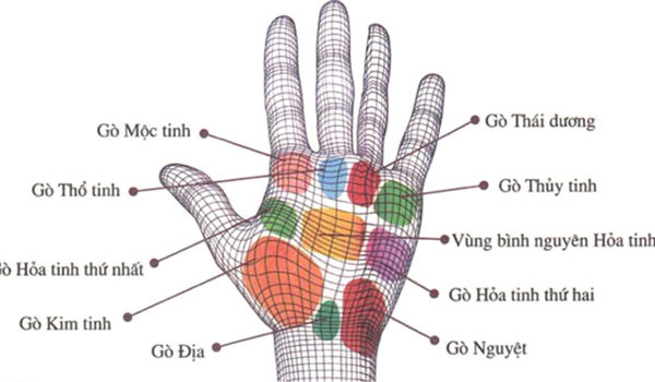 Bật mí cách xem đường chỉ tay cơ bản cho cả nam và nữ