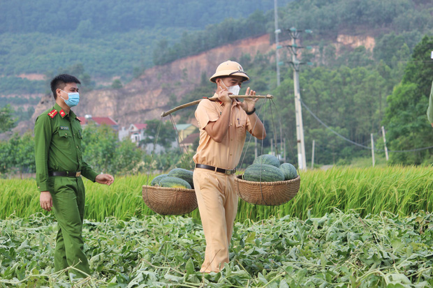 Công an ở Bắc Giang giúp người dân thu hoạch 8,5 tấn dưa 