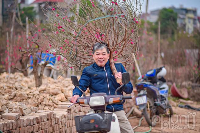 Niềm vui khi chọn được cành đào ưng ý