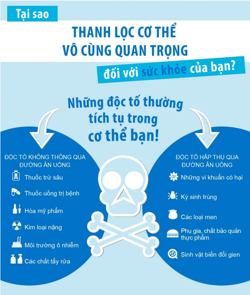 5 cách thải độc tố đúng cách giúp bạn ăn ngon ngủ yên