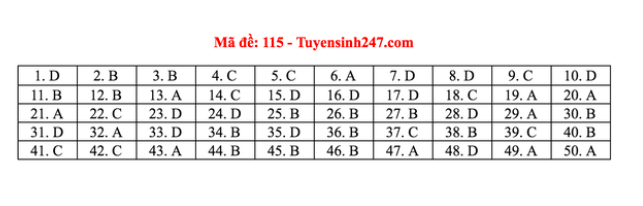 Đáp án môn Toán THPT Quốc gia 2020: Mã đề 115  