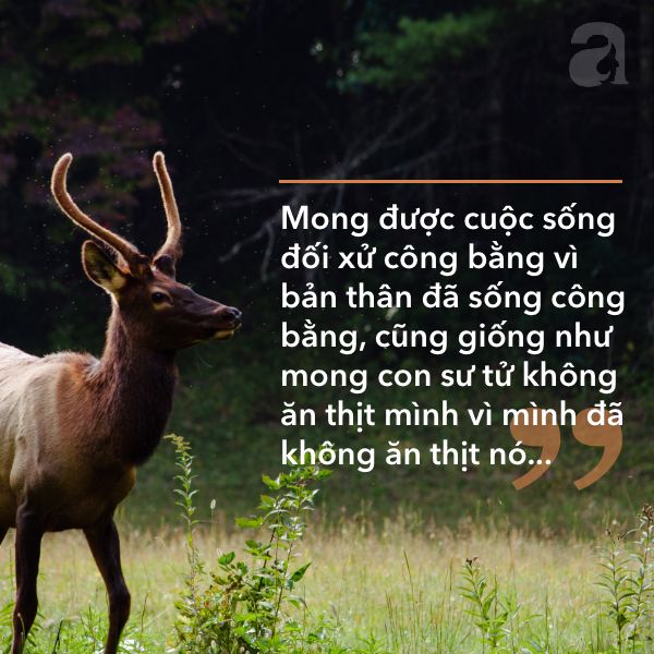 Tử vi ngày mới 5/3/2020 của 12 cung hoàng đạo: Song Tử khủng hoảng, Cự Giải hết cô đơn