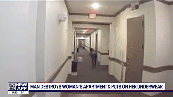 Căn hộ biến thành cảnh tượng kinh hoàng chỉ sau vài tiếng đi vắng, gia chủ tái mặt với hình ảnh được camera ghi lại