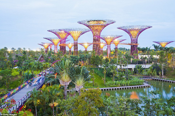 Gardens by the Bay tại Singapore là một công viên thành thị, được khánh thành từ năm 2012. “Đặc sản” của nơi đây là 18 cấu trúc cao được gọi là “siêu cây”. Theo đó, “siêu cây” cao nhất đạt mức 50m. Buổi tối vào khoảng 7 giờ 45 phút tại Gardens by the Bay thường tổ chức chương trình âm nhạc và ánh sáng để du khách thưởng thức. 