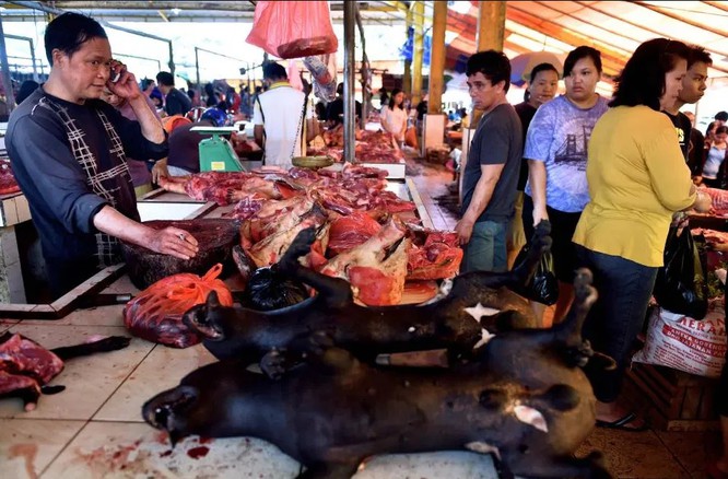 Một quầy hàng bày bán thịt chó ở chợ Tomohon (Ảnh: The Sun)