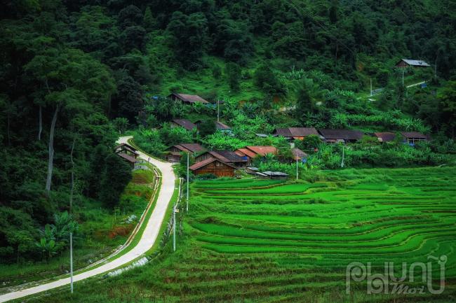 Xóm Hoài Khao thuộc xã Quang Thành, huyện Nguyên Bình, tỉnh Cao Bằng, nằm ở độ cao 1.931m so mặt nước biển nằm lọt trong một thung lũng được bao quanh bởi vườn quốc gia Phja Oắc – Phja Đén, là nơi sinh sống của 34 hộ dân tất cả đều là người dân tộc Dao Tiền. 