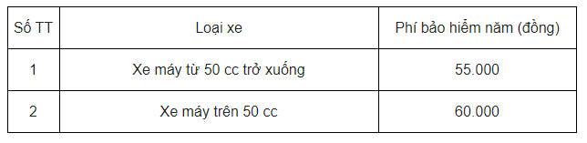 Nháo nhào đi mua bảo hiểm khi Công an tổng kiểm soát xe cộ