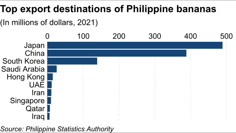 Philippines yêu cầu nhà bán lẻ Nhật Bản tăng giá chuối - Ảnh 2.