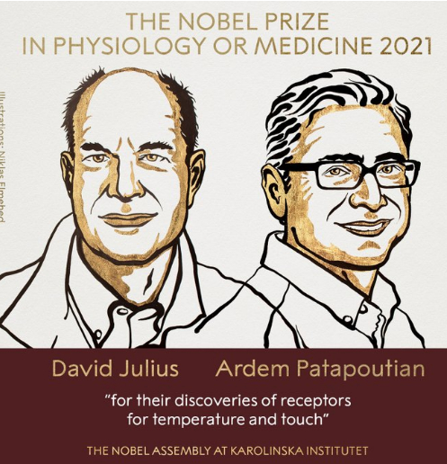   Đồng chủ nhân của giải Nobel Y học 2021: Ông David Julis và ông Ardem Patapoutian. Ảnh: Nobel Prize  