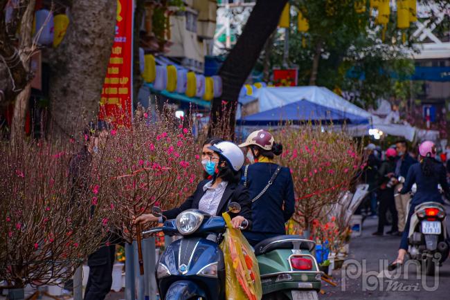 Ngoài phố Hàng Mã thì còn chợ hoa và các mặt hàng khác ở các con phố lân cận 