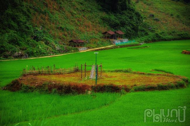 Sàn gỗ được dựng ở giữa đồng là nơi thực hiện nghi lễ cấp sắc của người Dao Tiền. Lễ Cấp sắc là một nghi lễ quan trọng nhất trong cuộc đời mỗi người dân nơi đây, được coi như nghi lễ thiêng liêng để người đàn ông khẳng định sự trưởng thành và vị thế của mình.