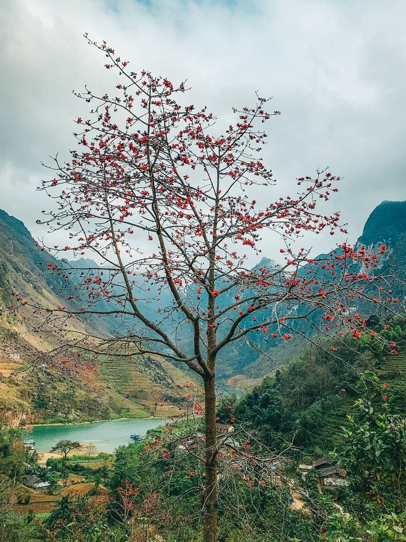 Hà Giang sẽ thu phí tham quan cao nguyên đá Đồng Văn như thế nào? - Ảnh 2.