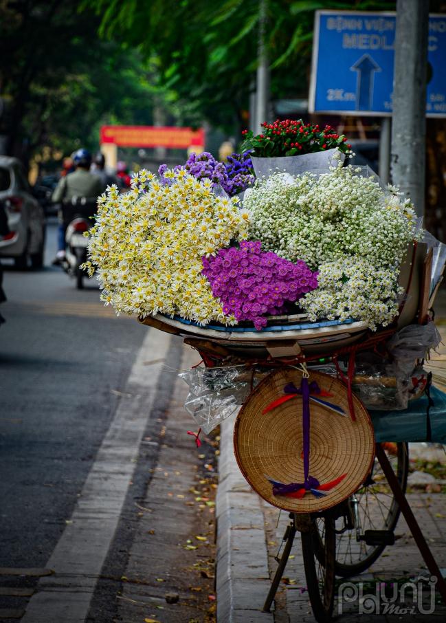         Cúc họa mi đã trở thành nét đẹp đặc trưng giao mùa ở  Hà Nội. Người ta chờ đợi mùa cúc họa mi như chờ đợi điều gì đó bình yên, an nhiên giữa chốn đô thị phồn hoa.        