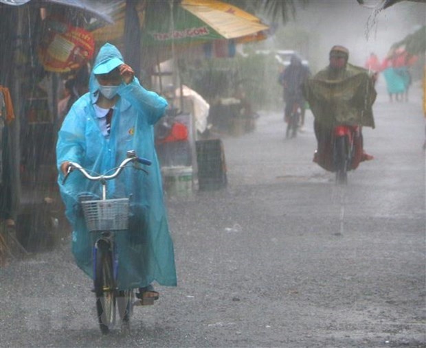 Hầu hết các khu vực trên cả nước có mưa, có nơi mưa rất to và dông. (Ảnh: Duy Khương/TTXVN)