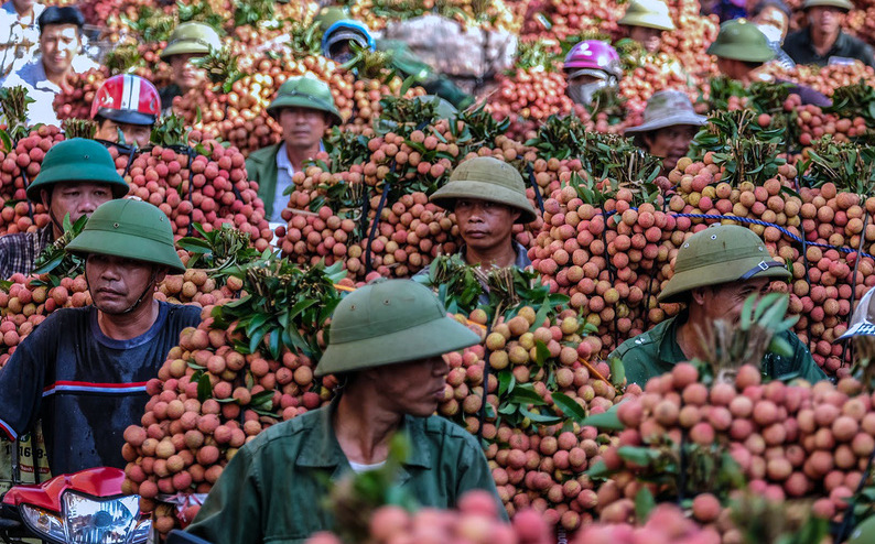 Ảnh minh họa: Tuổi Trẻ.