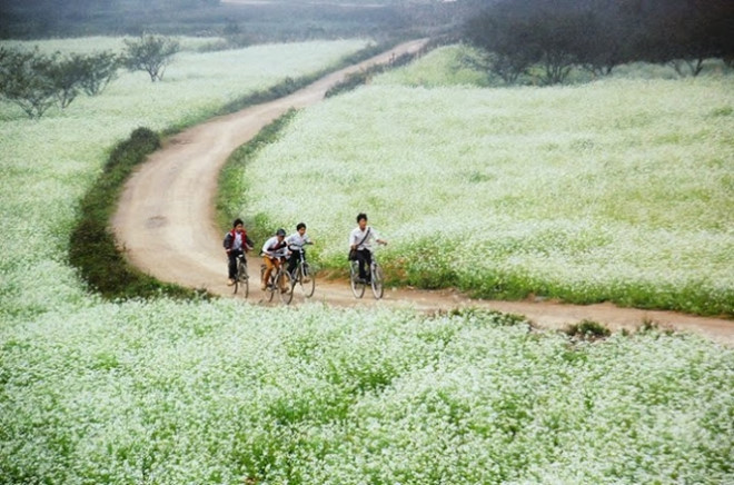 Tin sớm ngày 23/10/2019: Sự kiện mong chờ nhất năm của người yêu xe đang chờ