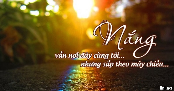 Tử vi hàng ngày 17.2.2020 của 12 con giáp: Sửu công việc thuận lợi, Mẹo tài lộc may mắn 