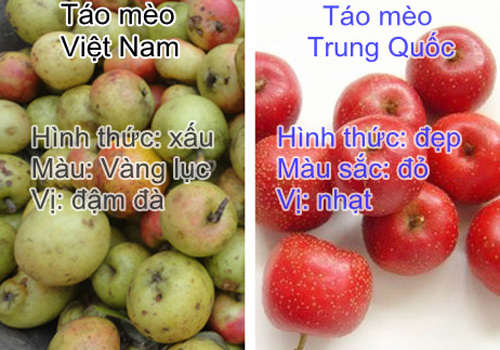 Phân biệt táo mèo ta và Trung Quốc.